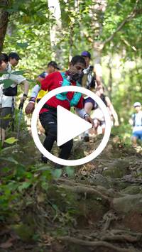 BIB:  <button type="button" onclick="openModal(27577967)" class="btn btn-primary btn-sm float-right" data-toggle="modal" data-target=".modal-high-quality">
                <i class="fa fa-download"></i> Download
                </button>